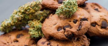 Chocolate Chip Cannabis Cookies