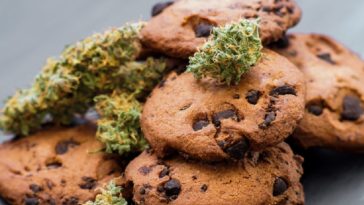 Chocolate Chip Cannabis Cookies